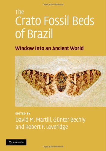 The Crato Fossil Beds Of Brazil Window Into An Ancient World 1st Edition David M Martill