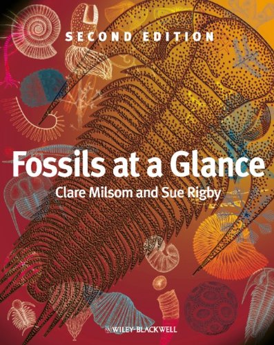 Fossils At A Glance 2nd Ed Clare Milsom Sue Rigby