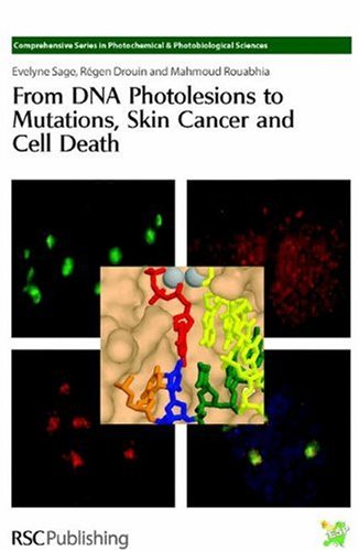 From Dna Photolesions To Mutations Skin Cancer And Cell Death 1st Edition Evelyne Sage
