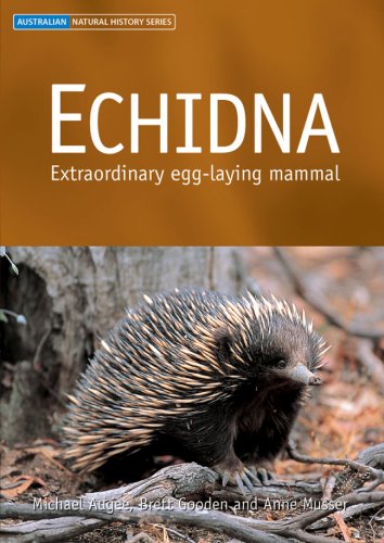 Echidna Extraordinary Egglaying Mammal Michael Augee Brett Gooden