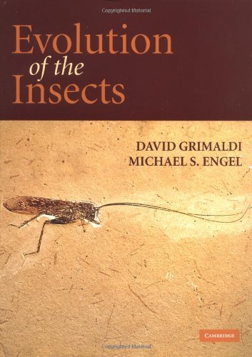 Evolution Of The Insects David Grimaldi Michael S Engel