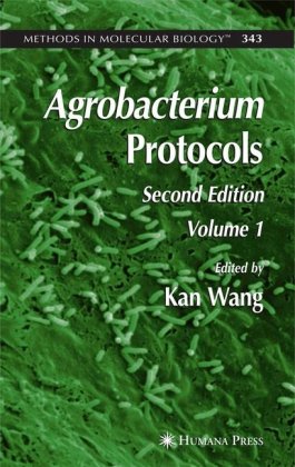 Agrobacterium Protocols 2nd Edition Kan Wang Ed