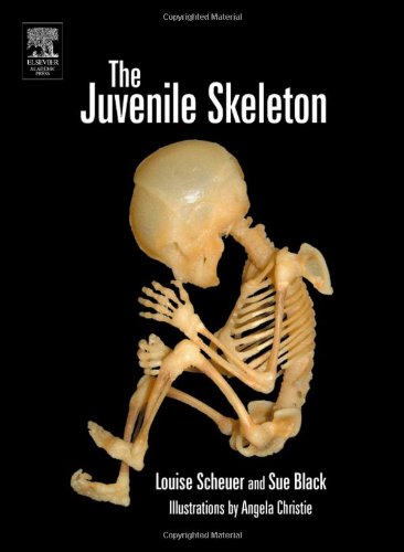 The Juvenile Skeleton 1st Edition Louise Scheuer Sue Black