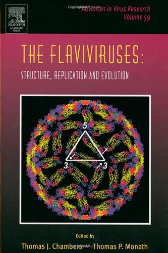 The Flaviviruses Structure Replication And Evolution 1st Edition Thomas J Chambers