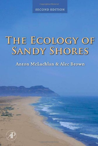 The Ecology Of Sandy Shores Second Edition 2nd Edition Anton Mclachlan