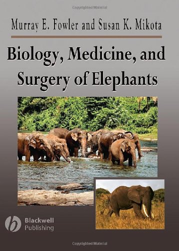 Biology Medicine And Surgery Of Elephants 1st Edition Murray E Fowler