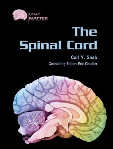 The Spinal Cord Gray Matter Carl Y Saab
