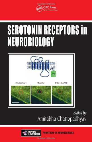 Serotonin Receptors In Neurobiology Frontiers In Neuroscience 1st Edition Amitabha Chattopadhyay
