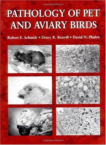 Pathology Of Pet And Aviary Birds 1st Edition Robert E Schmidt