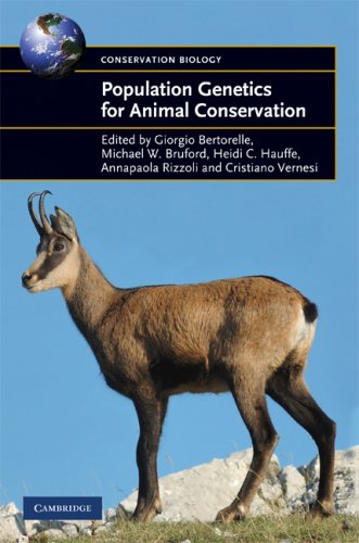 Population Genetics For Animal Conservation Conservation Biology 1st Edition Giorgio Bertorelle