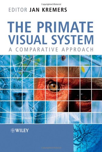 The Primate Visual System A Comparative Approach 1st Edition Jan Kremers
