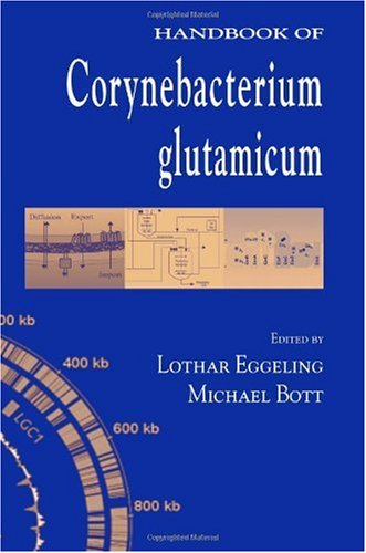 Handbook Of Corynebacterium Glutamicum 1st Edition Lothar Eggeling