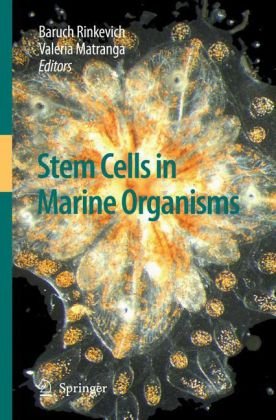 Stem Cells In Marine Organisms 1st Edition Baruch Rinkevich Auth