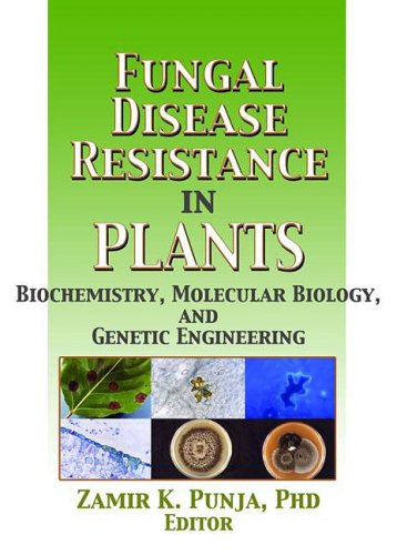 Fungal Disease Resistance In Plants Biochemistry Molecular Biology And Genetic Engineering Crop Science 1st Edition Zamir K Punja