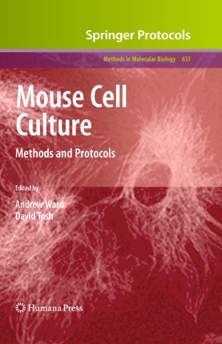 Mouse Cell Culture Methods And Protocols 1st Edition Melany Jackson