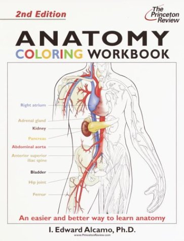 Anatomy Coloring Workbook 2nd Edition Princeton Review