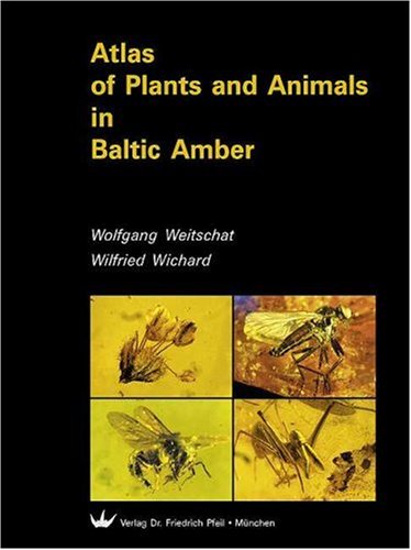 Atlas Of Plants And Animals In Baltic Amber Wolfgang Wichard