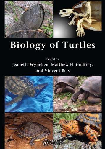 Biology Of Turtles Jeanette Wyneken Matthew H Godfrey
