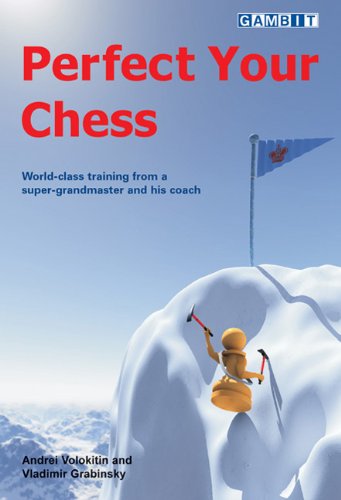 Perfect Your Chess Andrei Volokitin Vladimir Grabinsky Steve Giddins