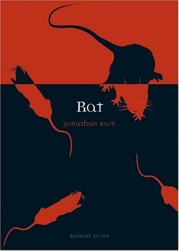 Rat Animal 1st Edition Jonathan Burt