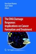 The Dna Damage Response Implications On Cancer Formation And Treatment 1st Edition Daniel Durocher Auth