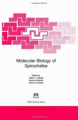 Molecular Biology Of Spirochetes 1st Edition Fc Cabello D Hulinska