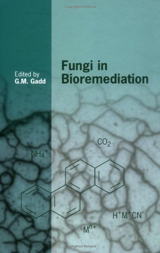 Fungi In Bioremediation 1st Edition G M Gadd