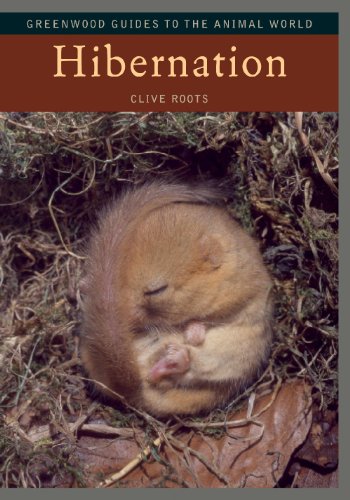 Hibernation Clive Roots