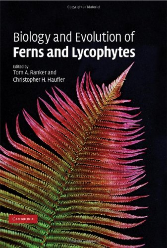 Biology And Evolution Of Ferns And Lycophytes Illustrated Edition Tom A Ranker