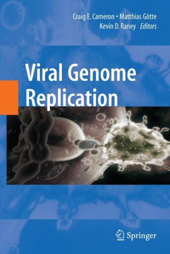 Viral Genome Replication 1st Edition Aniko V Paul George A Belov