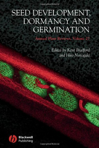 Seed Development Dormancy And Germination 1st Edition Kent Bradford