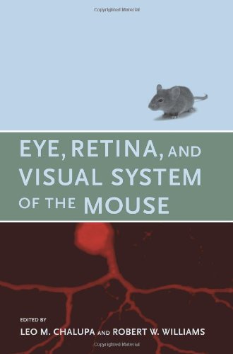 Eye Retina And Visual System Of The Mouse 1st Edition Leo M Chalupa