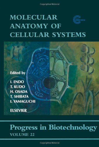 Molecular Anatomy Of Cellular Systems 1st Ed I Endo T Kudo
