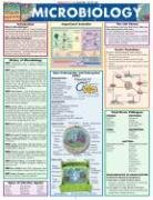 Barcharts Quickstudy Microbiology 6th Ed Barcharts Inc Mike Roner