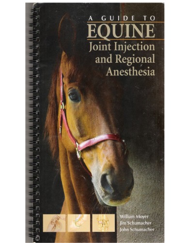 A Guide To Equine Joint Injection And Regional Anesthesia William Moyer