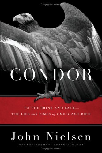 Condor To The Brink And Backthe Life And Times Of One Giant Bird John Nielsen