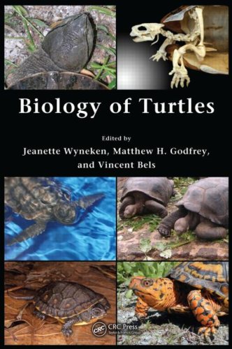 Biology Of Turtles From Structures To Strategies Of Life 1st Edition Jeanette Wyneken