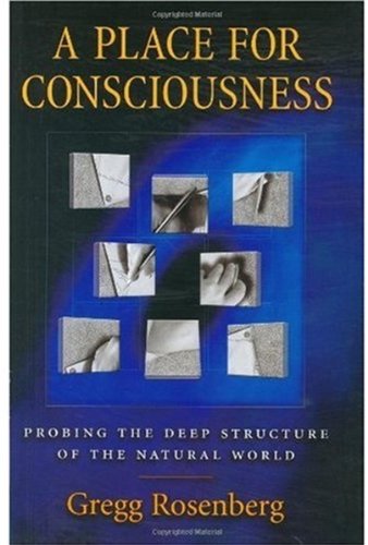 A Place For Consciousness Probing The Deep Structure Of The Natural World 1st Edition Gregg Rosenberg