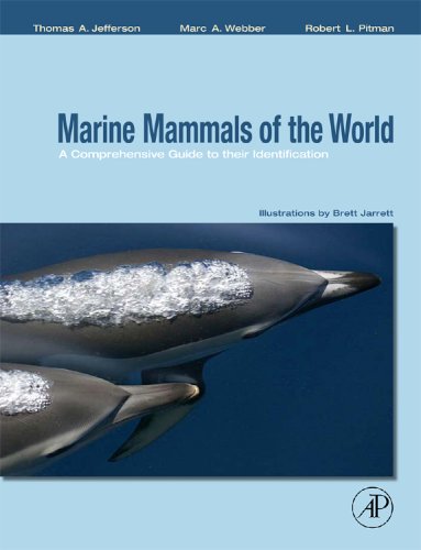 Marine Mammals Of The World A Comprehensive Guide To Their Identification 1st Edition Thomas A Jefferson