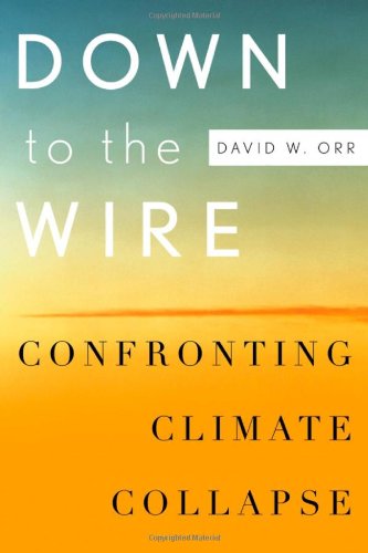 Down To The Wire Confronting Climate Collapse 1st Edition David W Orr