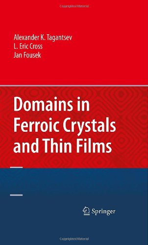 Domains In Ferroic Crystals And Thin Films 1st Edition Alexander K Tagantsev