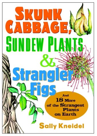 Skunk Cabbage Sundew Plants And Strangler Figs And 18 More Of The Strangest Plants On Earth Sally Kneidel