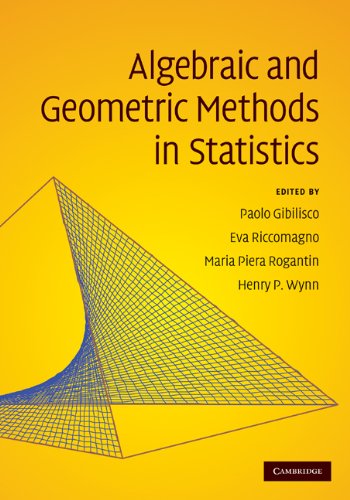 Algebraic And Geometric Methods In Statistics 1st Edition Paolo Gibilisco