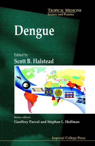 Dengue 1st Edition Scott B Halstead