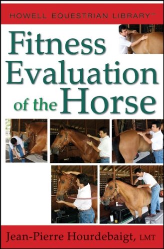 Fitness Evaluation Of The Horse Spi Jeanpierre Hourdebaigt Lmt