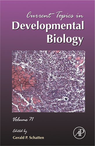 Current Topics In Developmental Biology Vol 71 1st Gerald P Schatten Ed