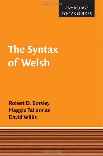 The Syntax Of Welsh 1st Edition Robert D Borsley Maggie Tallerman
