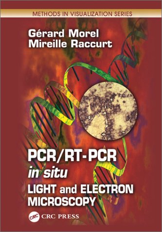 Pcrrt Pcr In Situ Light And Electron Microscopy 1st Edition Gerard Morel