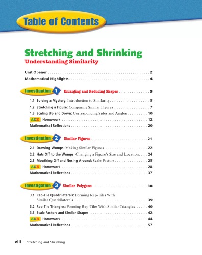 Stretching Shrinking Understanding Similarity Glenda Lappan