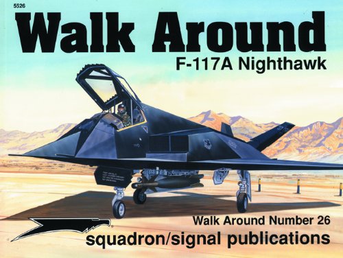 F117a Nighthawk James Goodall